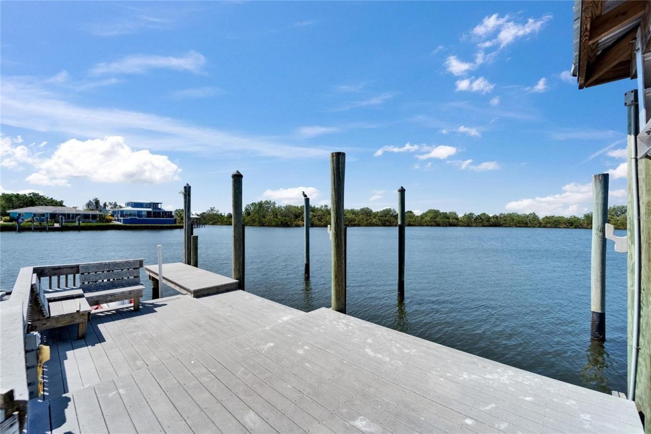 935 Chipaway Drive, Apollo Beach, FL 33572 Photo