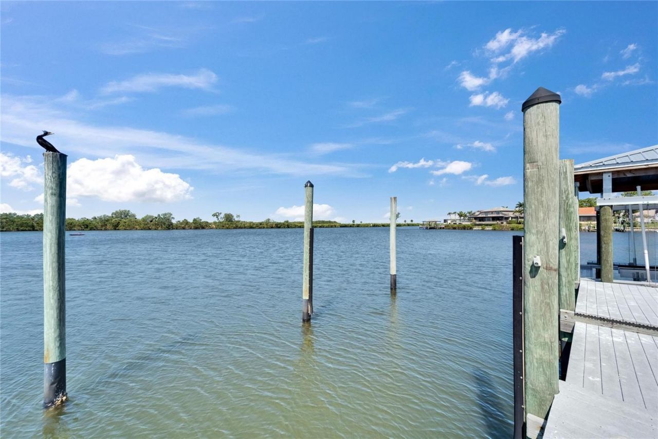 935 Chipaway Drive, Apollo Beach, FL 33572 Photo