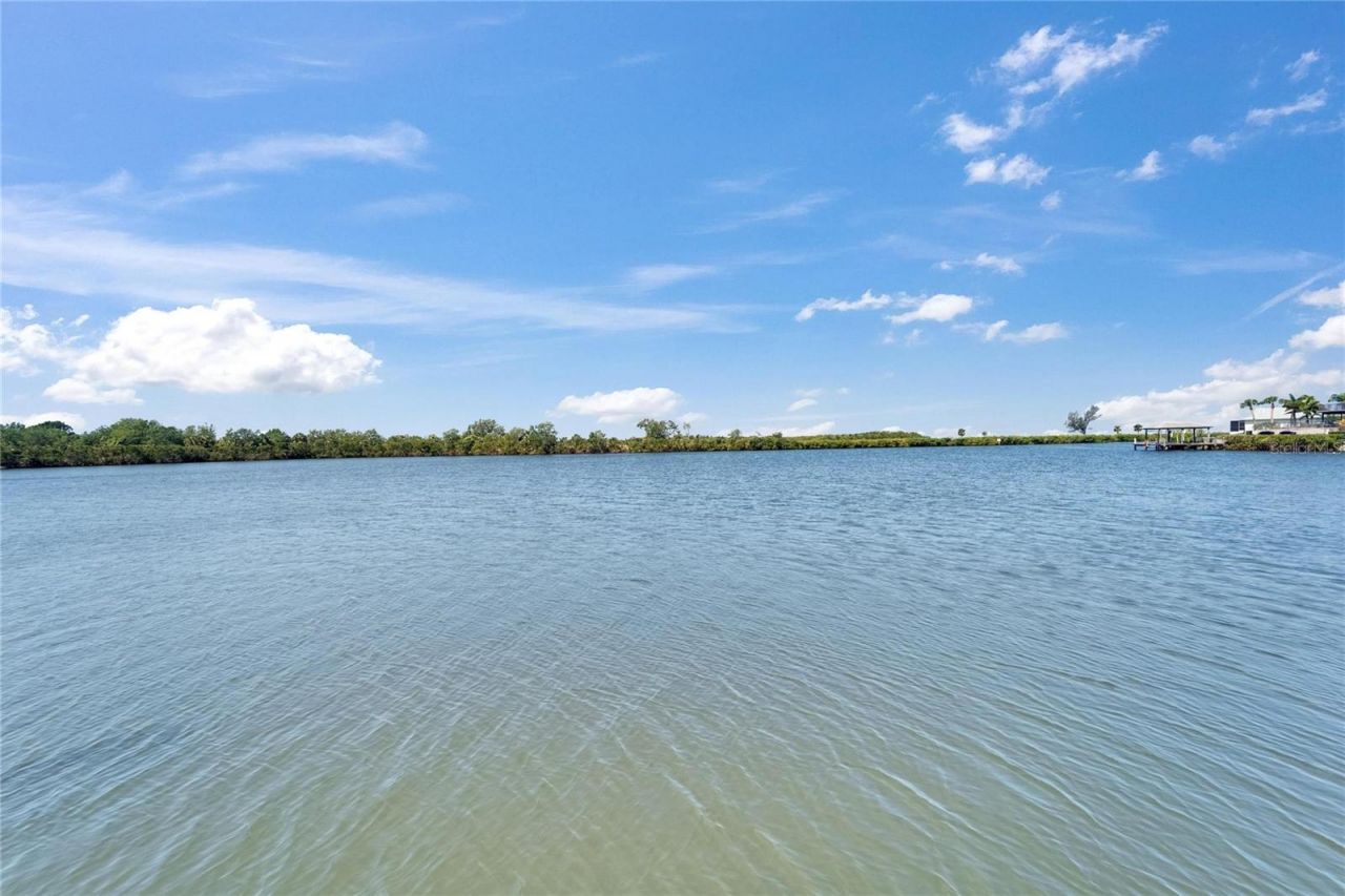 935 Chipaway Drive, Apollo Beach, FL 33572 Photo