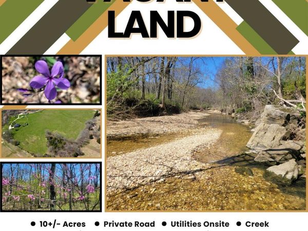 Tract A-3 Stewerd Drive, Fordland, MO 65652