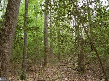 000 TIDEWATER TRAIL, RAPPAHANNOCK ACADEMY, VA 22538