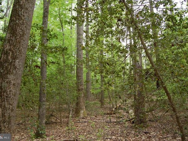 000 TIDEWATER TRAIL, RAPPAHANNOCK ACADEMY, VA 22538