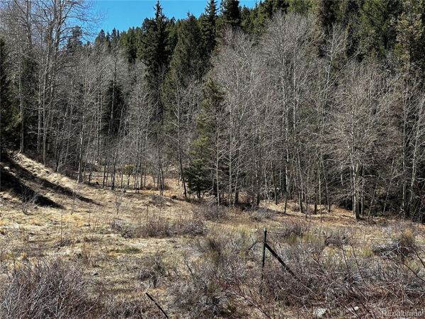 Lot 223 Hwy 160, Fort Garland, CO 81133