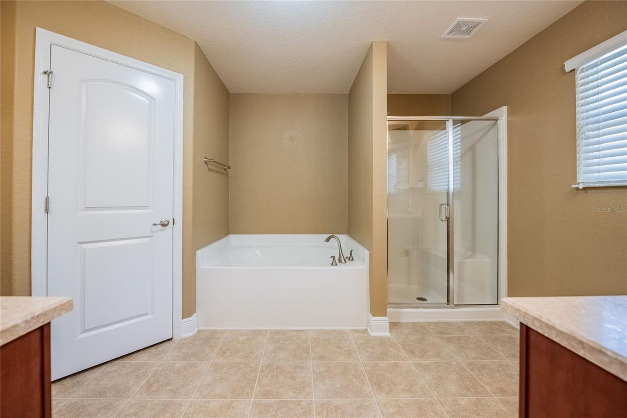 2933 Blackwater Oaks Drive, Mulberry, FL 33860 Photo