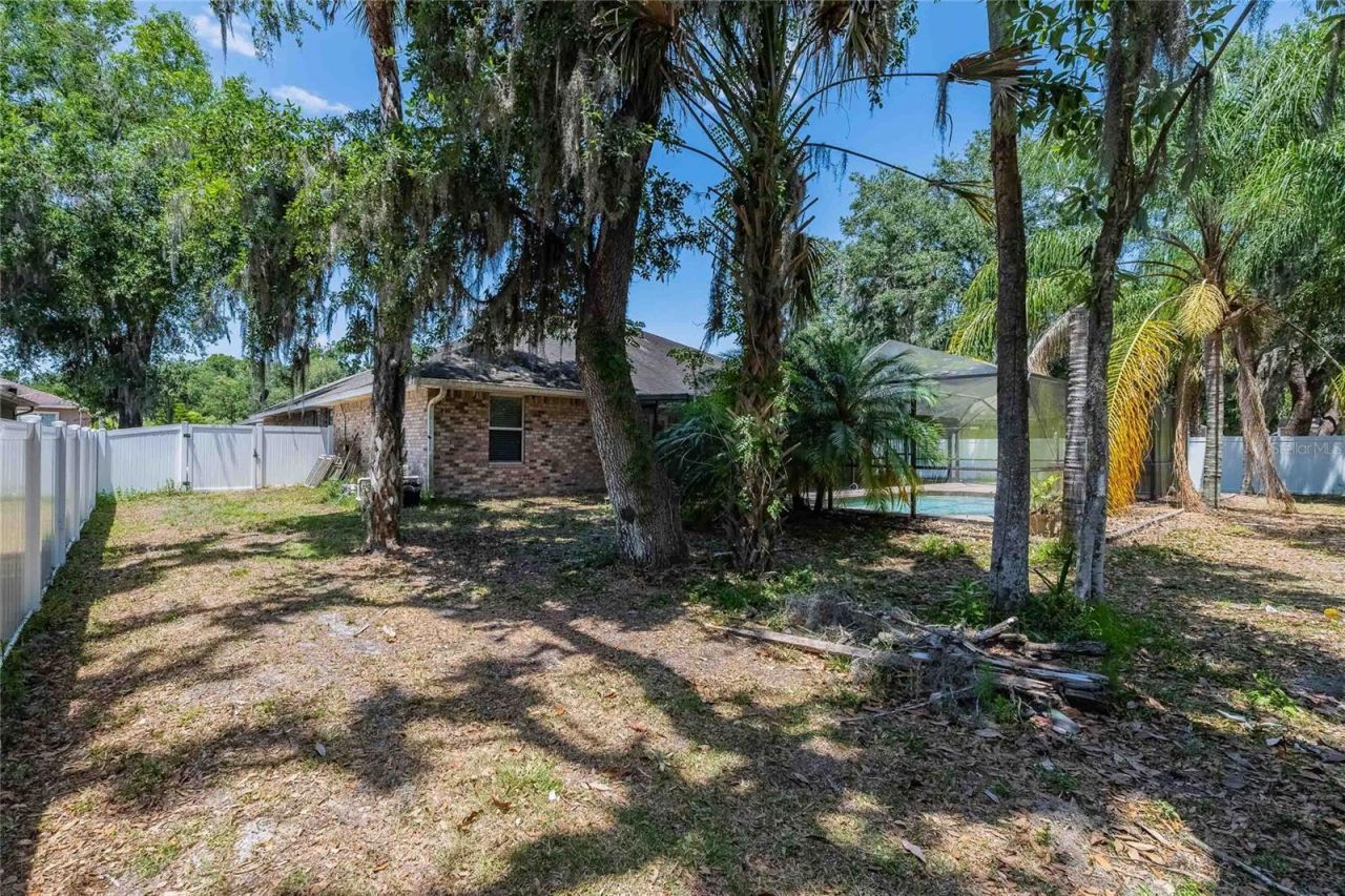 2933 Blackwater Oaks Drive, Mulberry, FL 33860 Photo