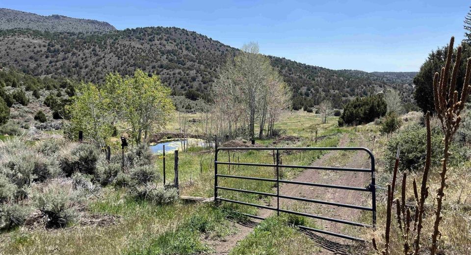 8531 Quaking Aspen Road, Lot #1,2,3,4,5,, Reno, NV 89510 Photo