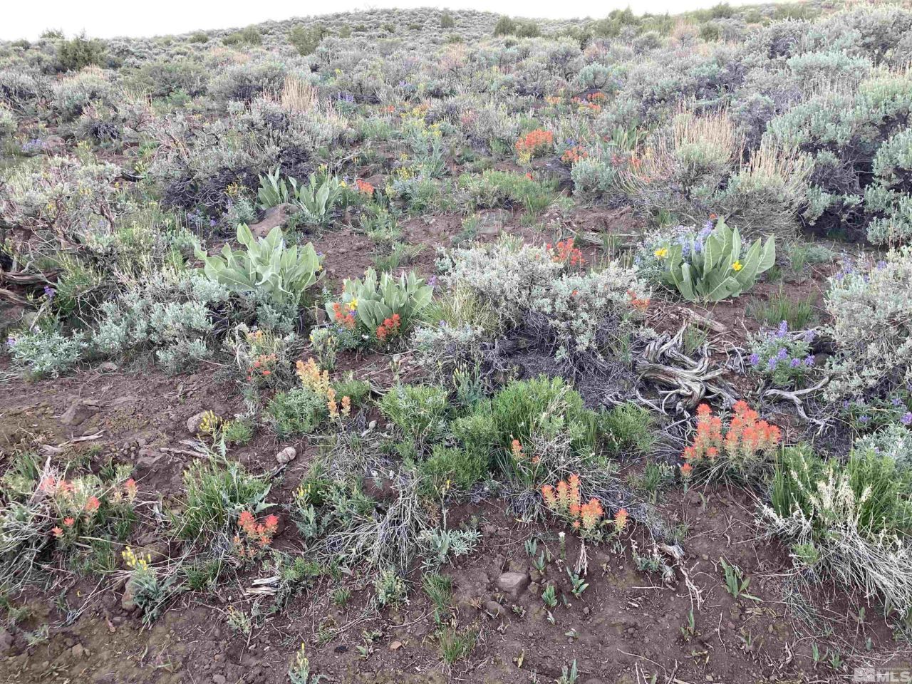 8531 Quaking Aspen Road, Lot #1,2,3,4,5,, Reno, NV 89510 Photo