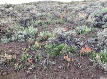 8531 Quaking Aspen Road, Lot #1,2,3,4,5,, Reno, NV 89510 Photo