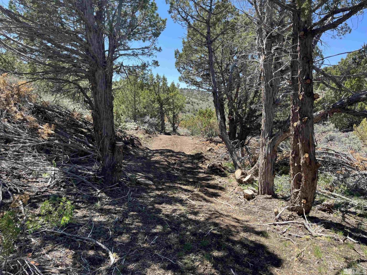 8531 Quaking Aspen Road, Lot #1,2,3,4,5,, Reno, NV 89510 Photo
