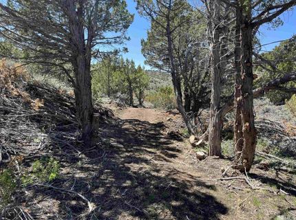 8531 Quaking Aspen Road, Lot #1,2,3,4,5,, Reno, NV 89510 Photo