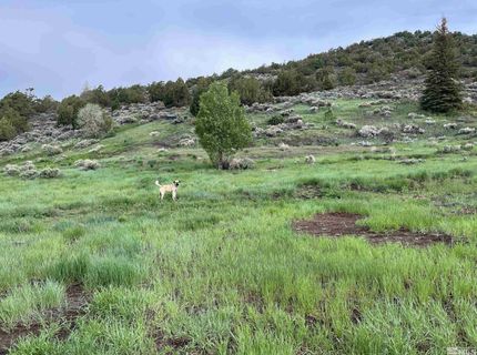 8531 Quaking Aspen Road, Lot #1,2,3,4,5,, Reno, NV 89510 Photo