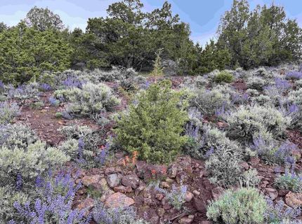 8531 Quaking Aspen Road, Lot #1,2,3,4,5,, Reno, NV 89510 Photo