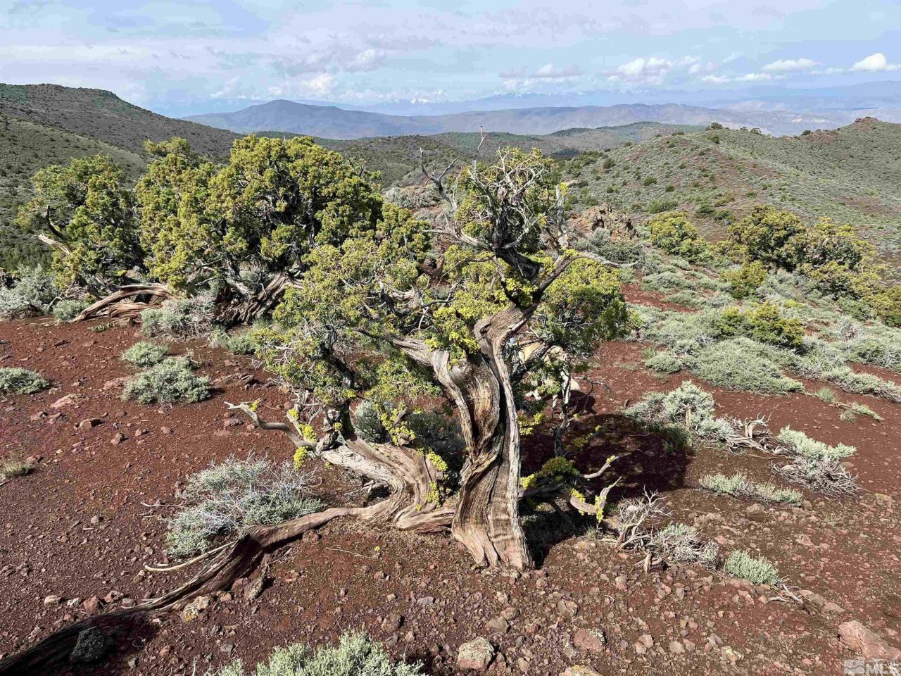 8531 Quaking Aspen Road, Lot #1,2,3,4,5,, Reno, NV 89510 Photo