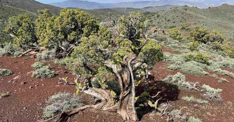 8531 Quaking Aspen Road, Lot #1,2,3,4,5,, Reno, NV 89510 Photo