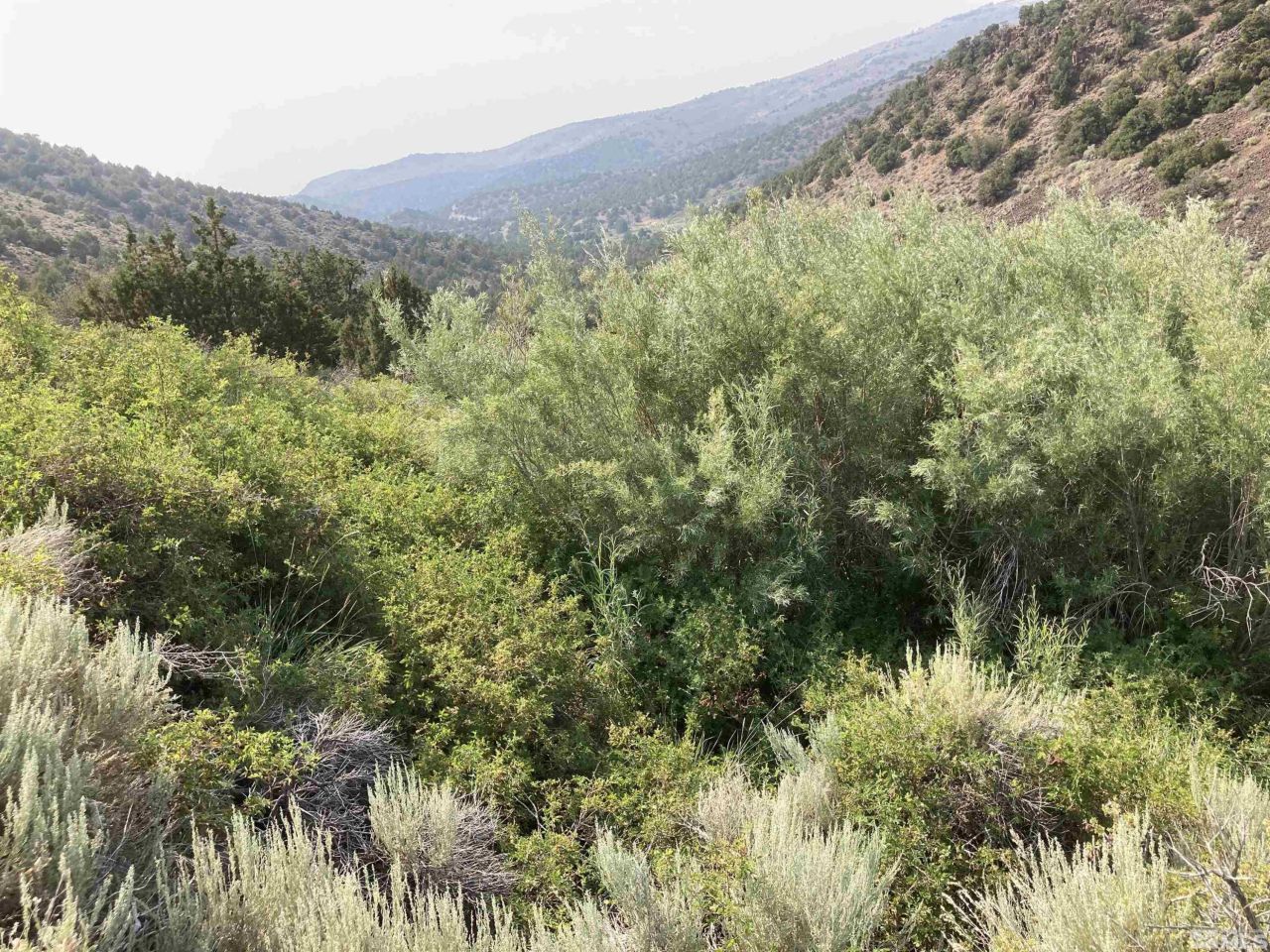 8531 Quaking Aspen Road, Lot #1,2,3,4,5,, Reno, NV 89510 Photo