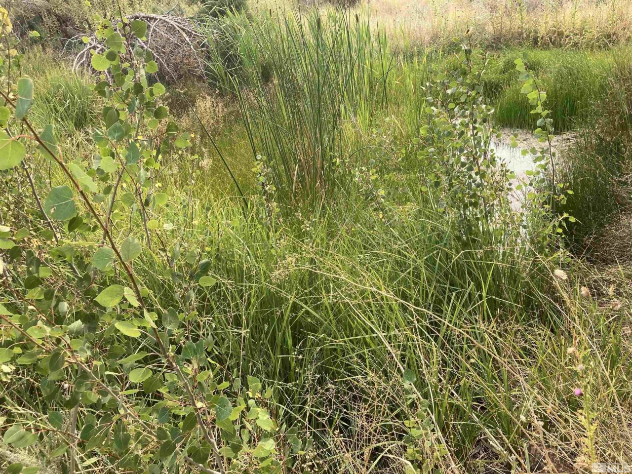 8531 Quaking Aspen Road, Lot #1,2,3,4,5,, Reno, NV 89510 Photo