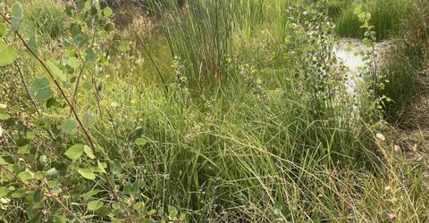 8531 Quaking Aspen Road, Lot #1,2,3,4,5,, Reno, NV 89510 Photo