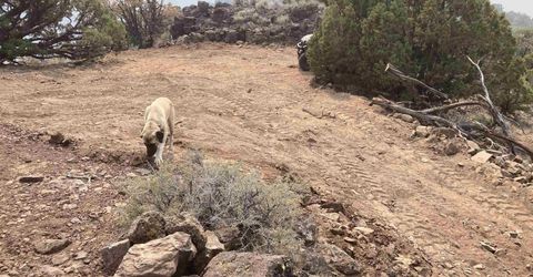 8531 Quaking Aspen Road, Lot #1,2,3,4,5,, Reno, NV 89510 Photo