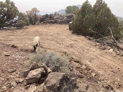 8531 Quaking Aspen Road, Lot #1,2,3,4,5,, Reno, NV 89510 Photo