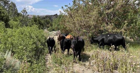 8531 Quaking Aspen Road, Lot #1,2,3,4,5,, Reno, NV 89510 Photo