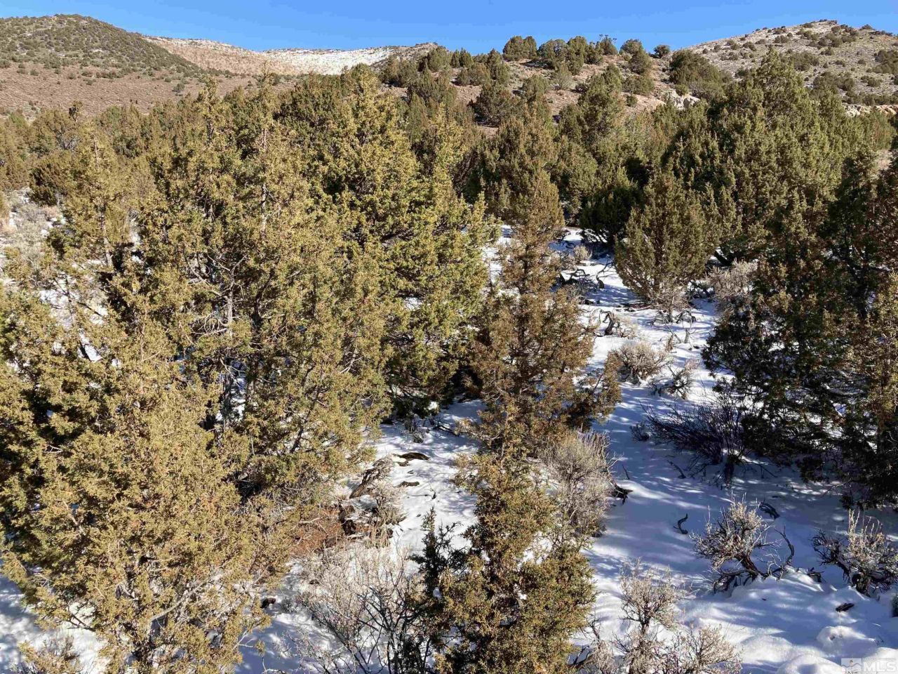 8531 Quaking Aspen Road, Lot #1,2,3,4,5,, Reno, NV 89510 Photo