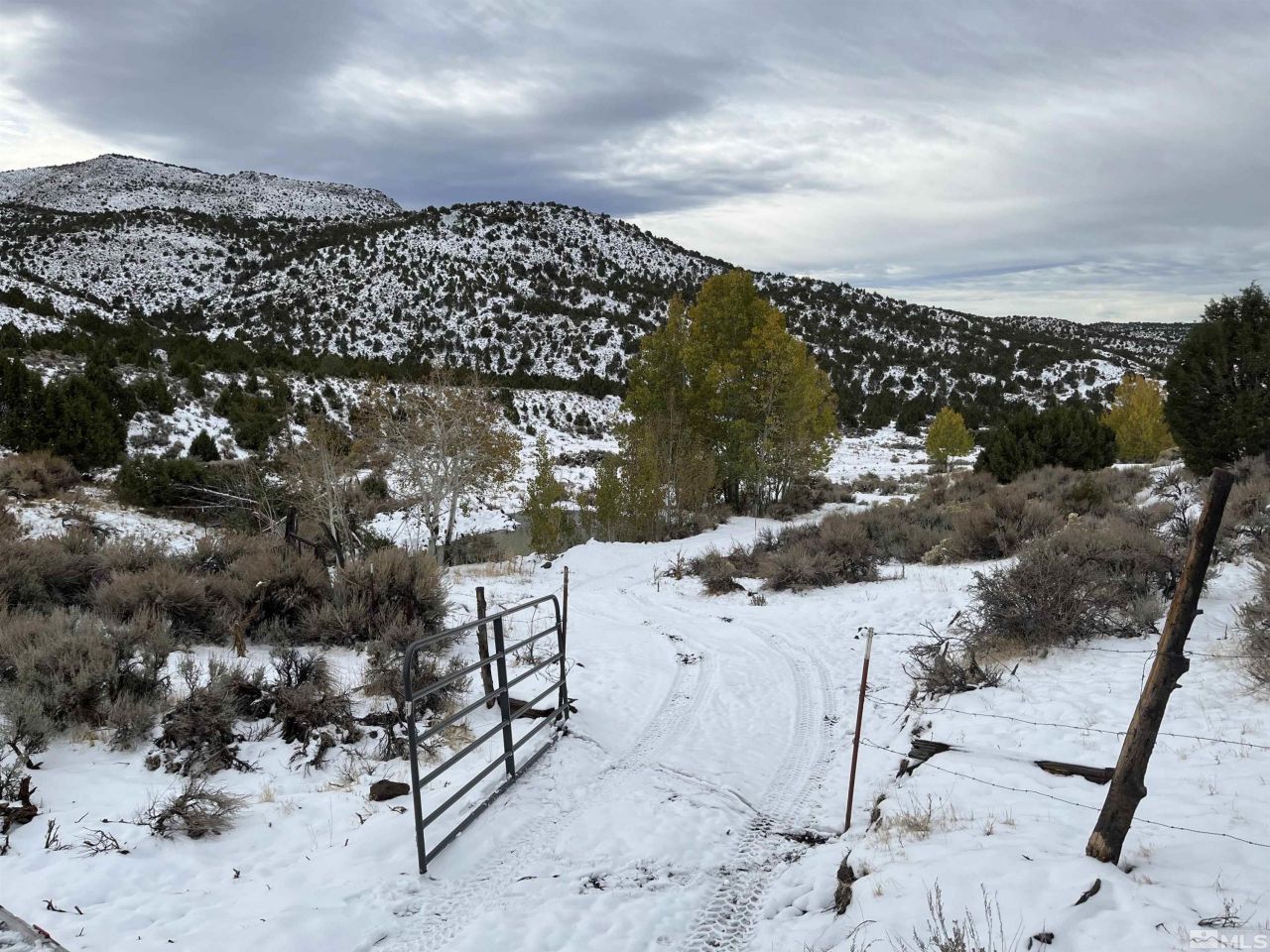 8531 Quaking Aspen Road, Lot #1,2,3,4,5,, Reno, NV 89510 Photo