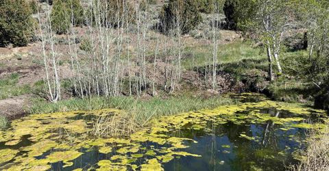 8531 Quaking Aspen Road, Lot #1,2,3,4,5,, Reno, NV 89510 Photo