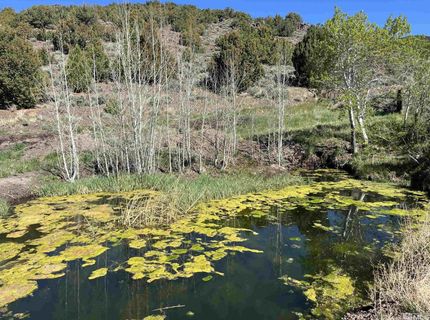 8531 Quaking Aspen Road, Lot #1,2,3,4,5,, Reno, NV 89510 Photo