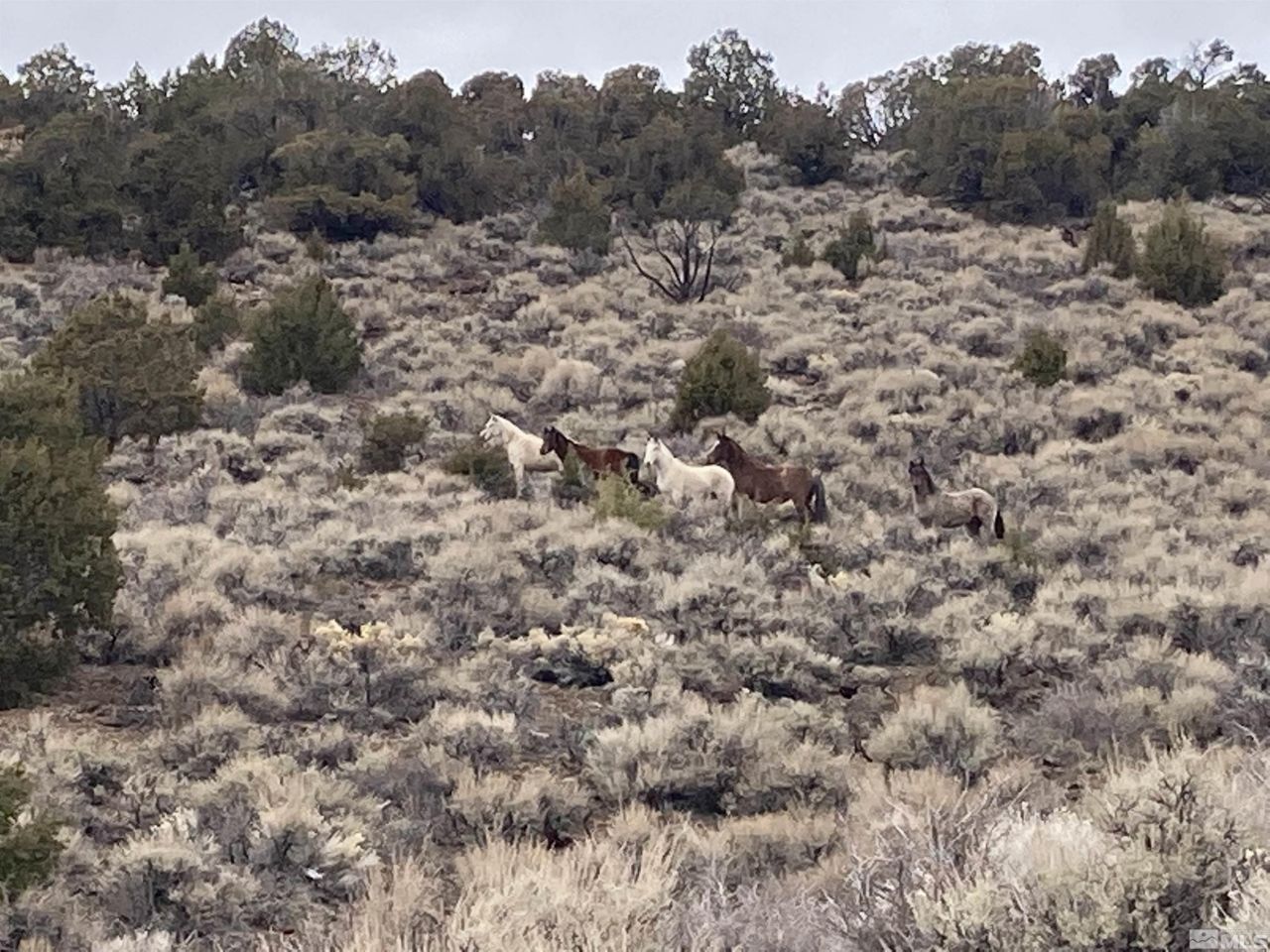 8531 Quaking Aspen Road, Lot #1,2,3,4,5,, Reno, NV 89510 Photo