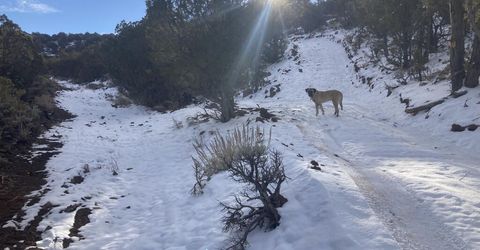 8531 Quaking Aspen Road, Lot #1,2,3,4,5,, Reno, NV 89510 Photo