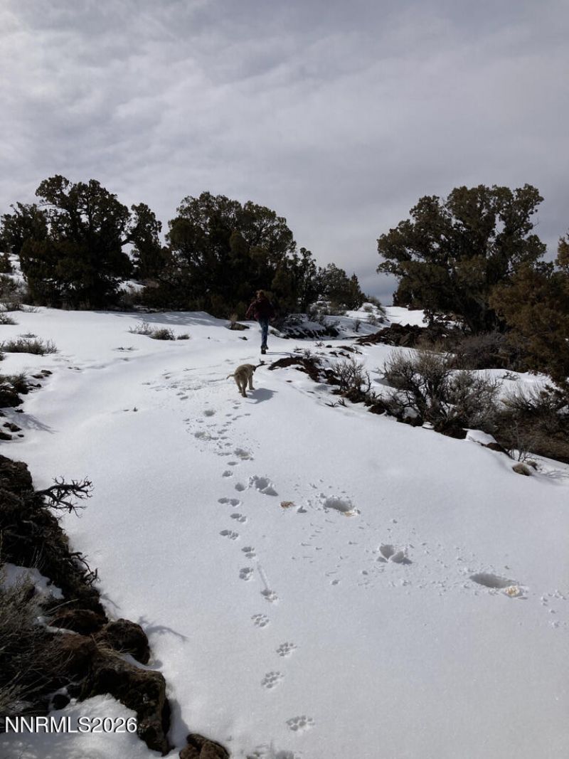 8531 Quaking Aspen Road, Lot #1,2,3,4,5,, Reno, NV 89510 Photo