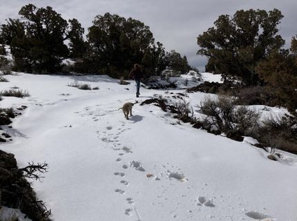 8531 Quaking Aspen Road, Lot #1,2,3,4,5,, Reno, NV 89510 Photo