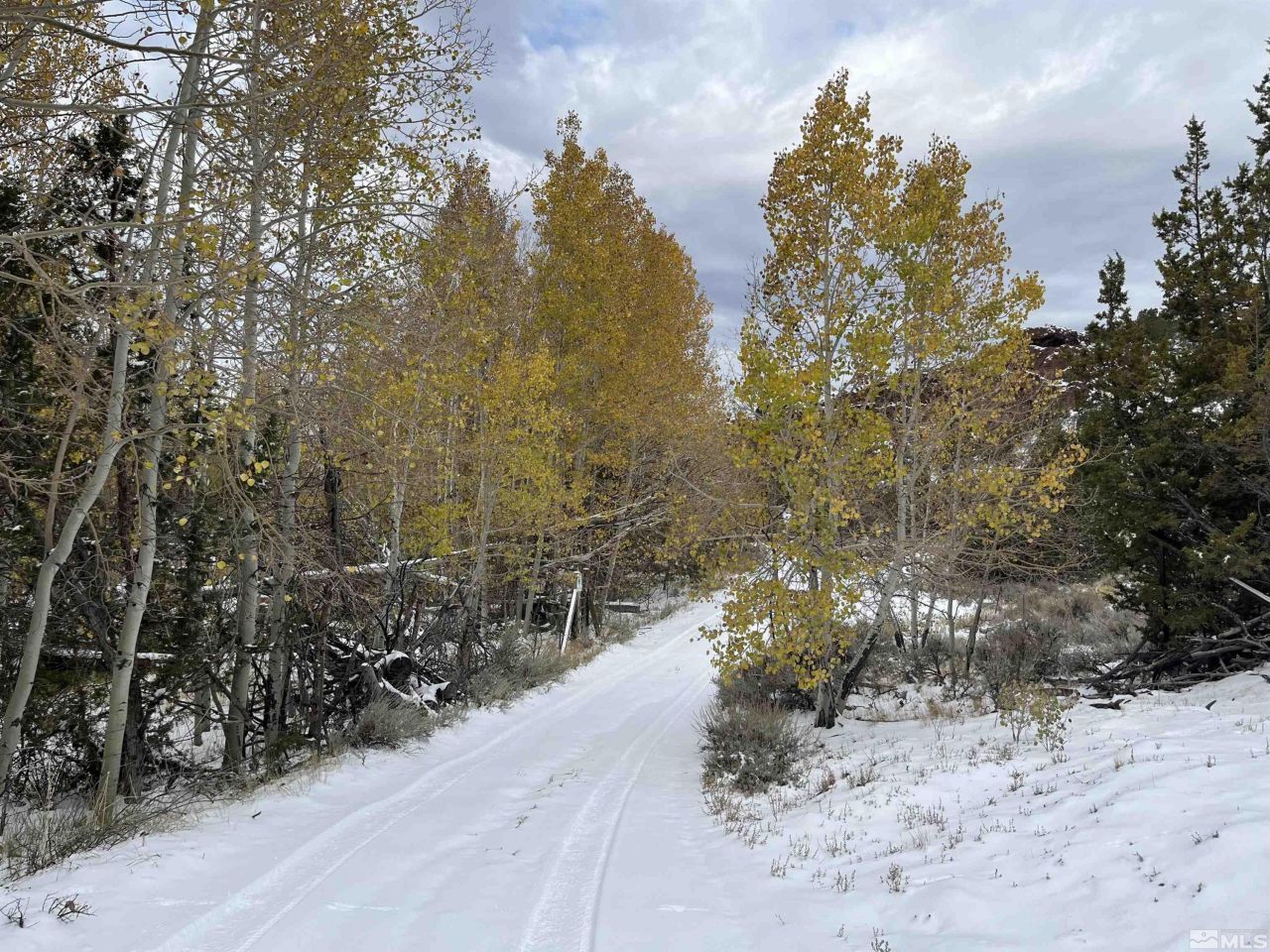 8531 Quaking Aspen Road, Lot #1,2,3,4,5,, Reno, NV 89510 Photo