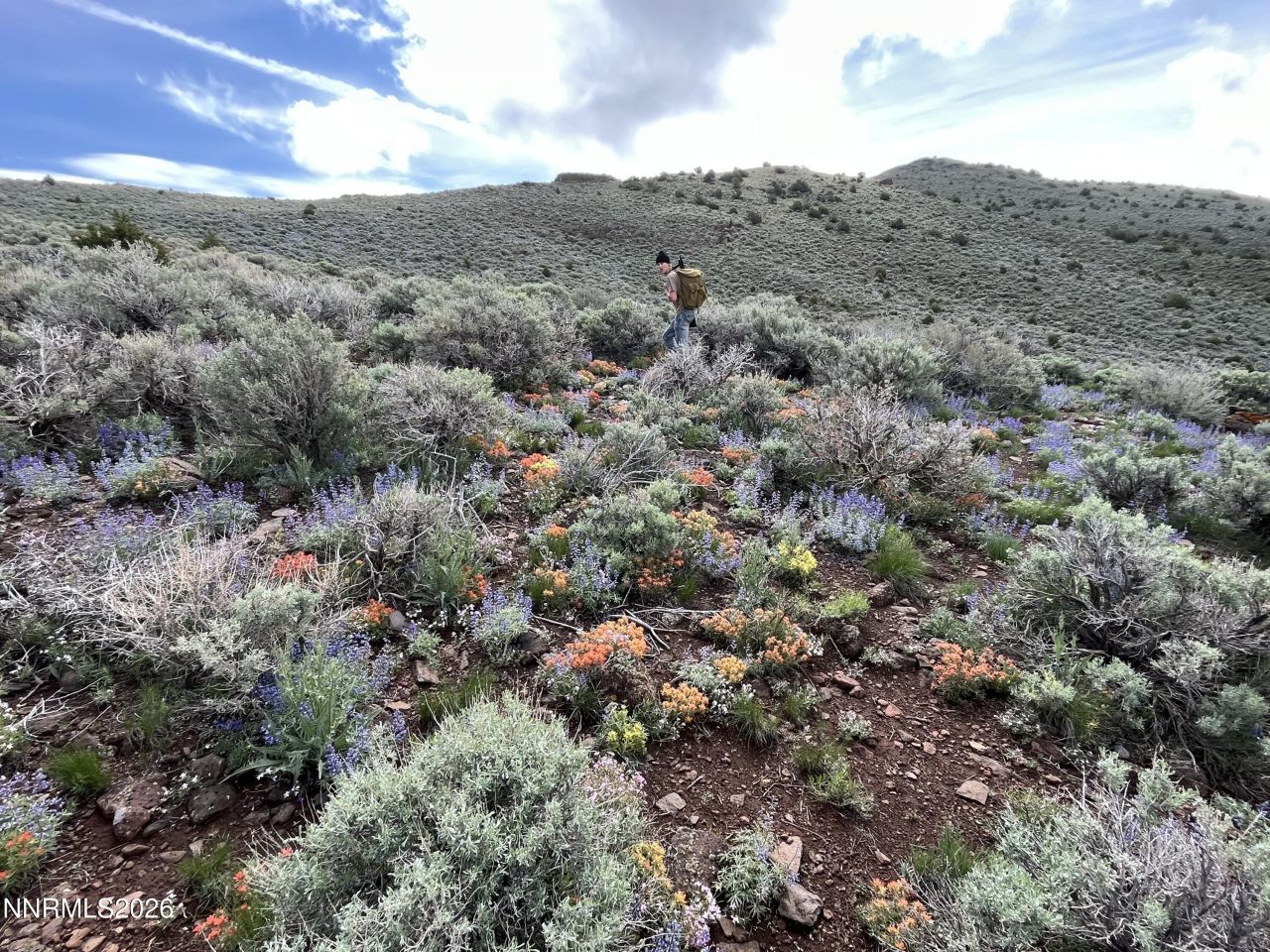 8531 Quaking Aspen Road, Lot #1,2,3,4,5,, Reno, NV 89510 Photo