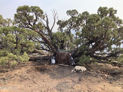 8531 Quaking Aspen Road, Lot #1,2,3,4,5,, Reno, NV 89510 Photo