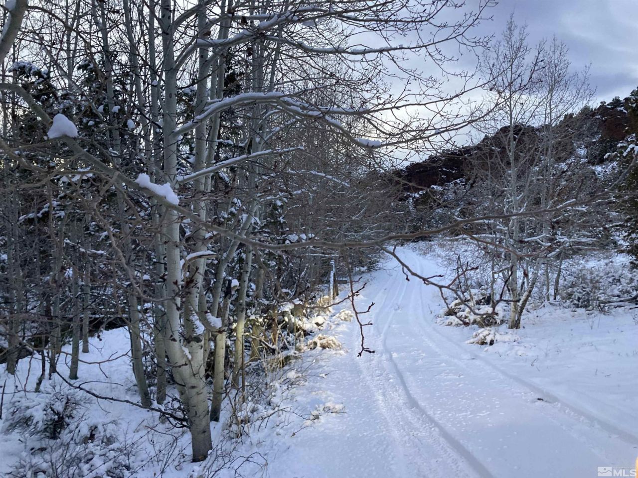 8531 Quaking Aspen Road, Lot #1,2,3,4,5,, Reno, NV 89510 Photo