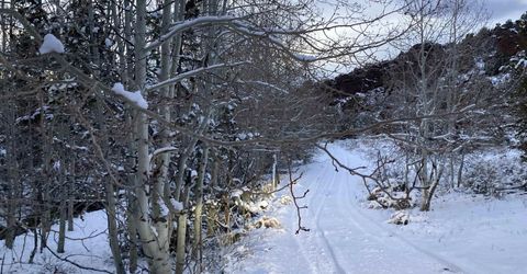 8531 Quaking Aspen Road, Lot #1,2,3,4,5,, Reno, NV 89510 Photo