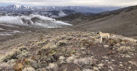 8531 Quaking Aspen Road, Lot #1,2,3,4,5,, Reno, NV 89510 Photo