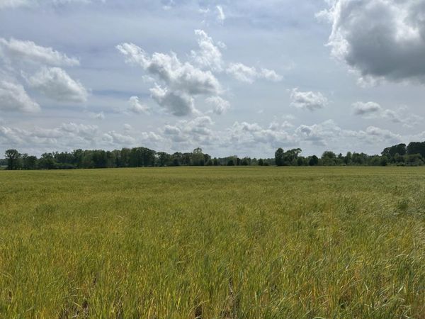 Hwy 64, Lexington, AL