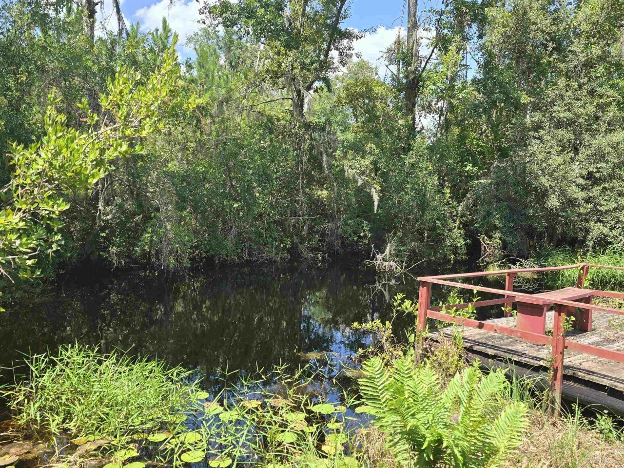 3232 Loren Henderson Rd, Perry, FL 32347 Photo