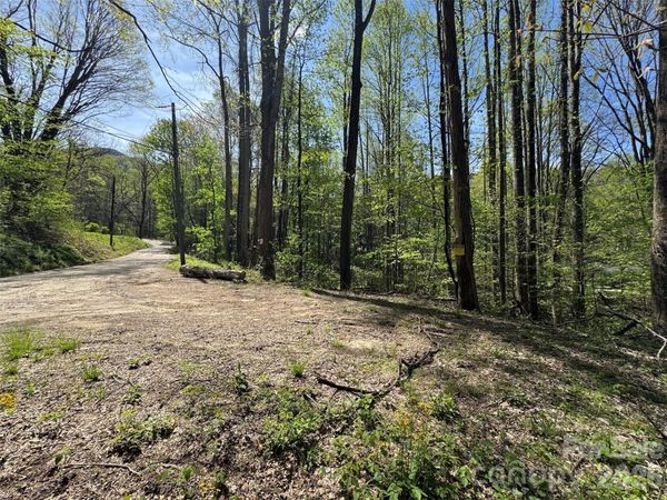 TBD (B) Browning Branch Road, Waynesville, NC 28786