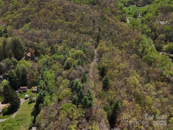 TBD (D) Chestnut Walk Drive, Waynesville, NC 28786