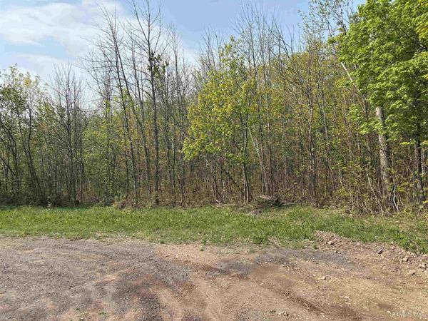 TBD B Gorton Road, Franklin Twp, MI 49930