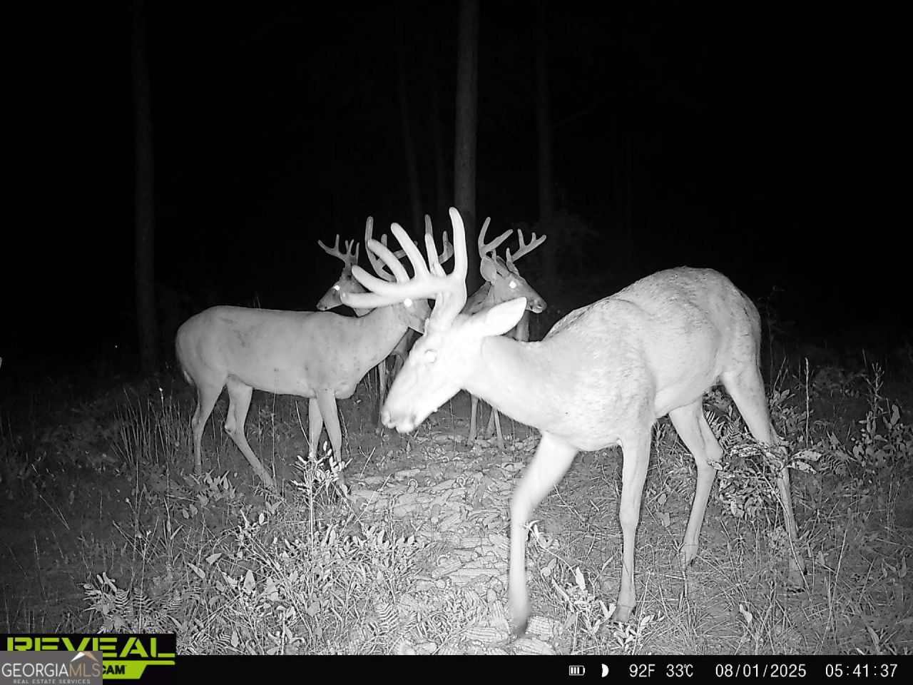 2730 S County Line Road, Sylvester, GA 31791 Main Photo