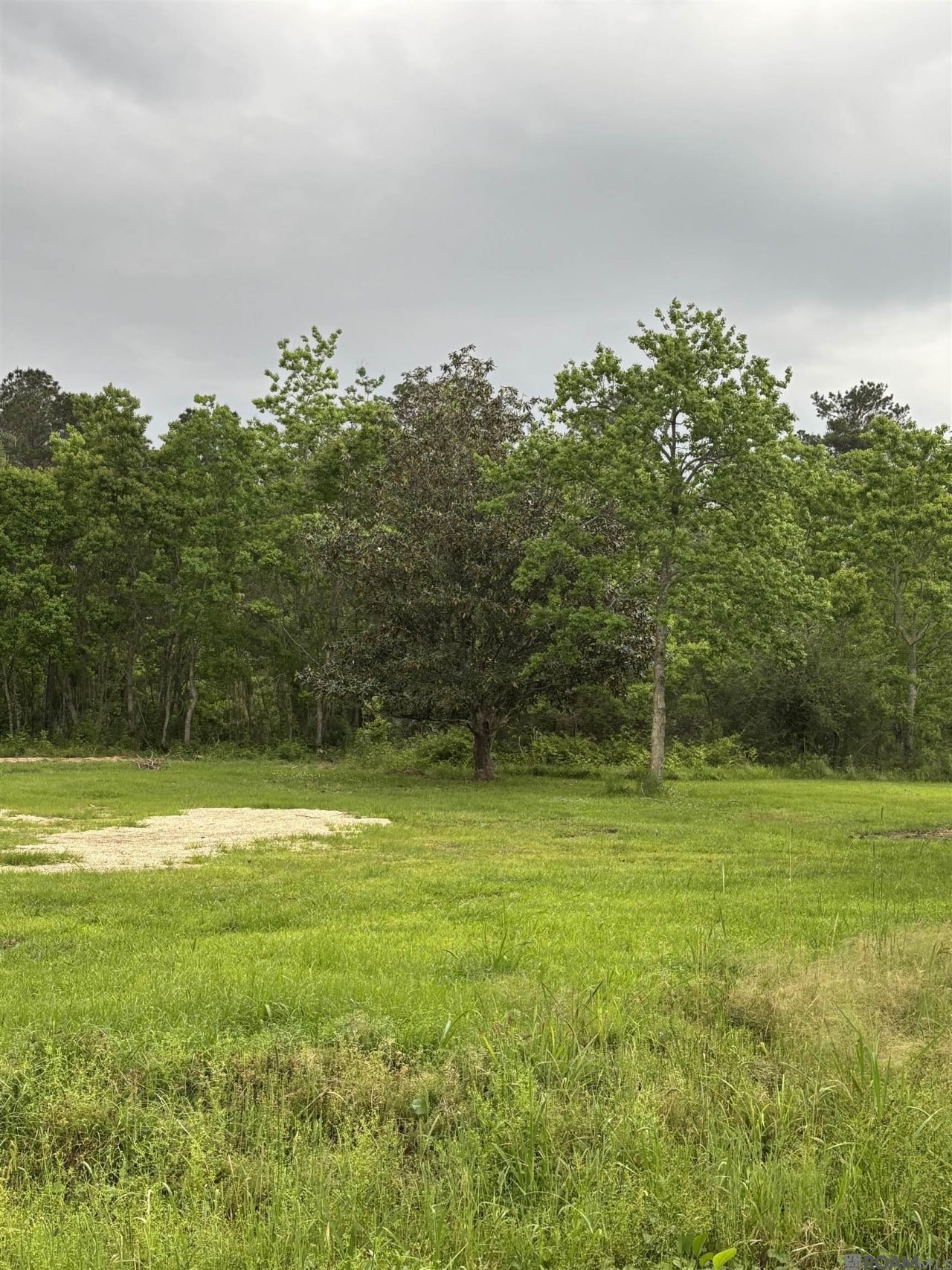 39930 Applewood Dr, Denham Springs, LA 70706 Main Photo