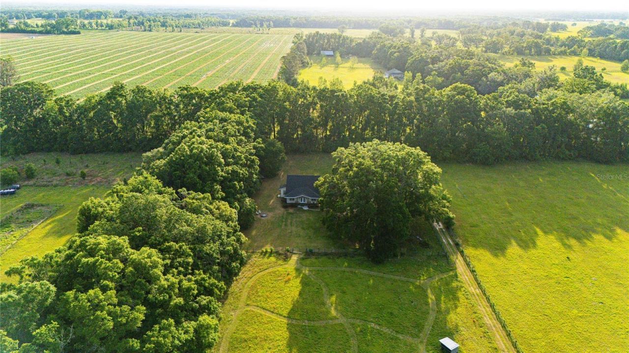 14974 NW 214th Terrace, High Springs, FL 32643 Photo