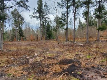 160 Breckheimer Road, Central Square, NY 13036