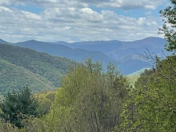 0000 Jerome Lane, Leicester, NC 28748