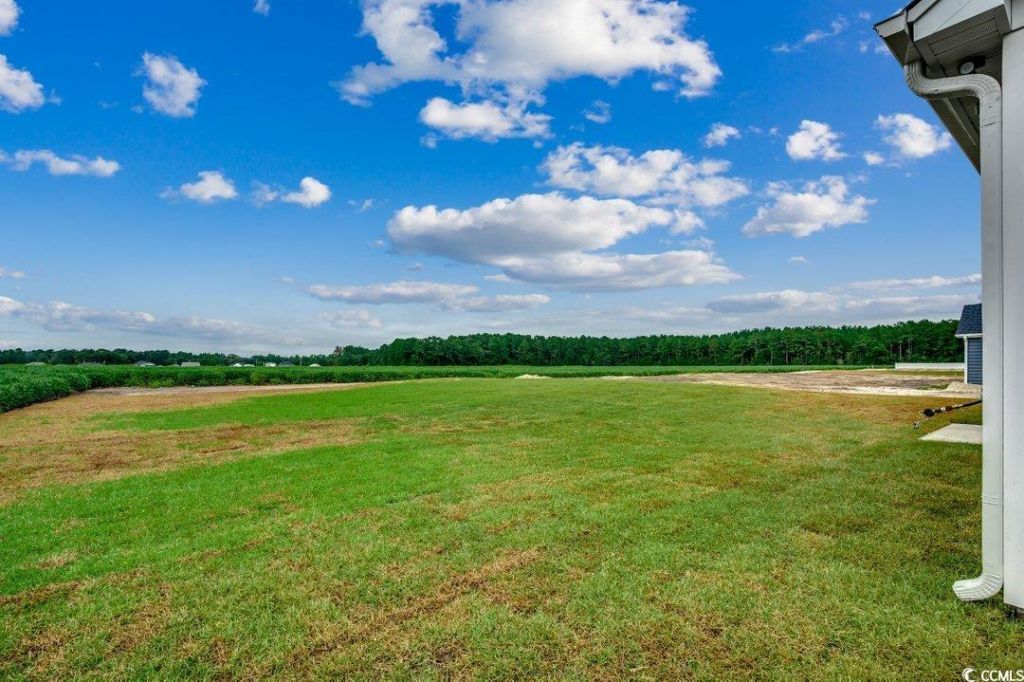 4959 Dupont Rd. Photo 28