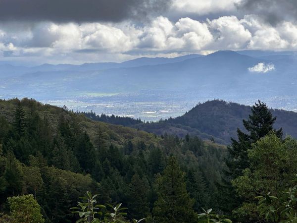 11100 R Fork Forest Cr Road, Medford, OR 97503